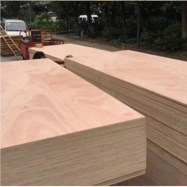 Modern Design 1/2 3/4 5/8 Inch Pine Plywood Waterproof and Durable Made in Linyi City