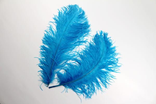 Trajes de Carnaval Decoração de milhares Pena de avestruz Plumas de avestruz Multicolor
