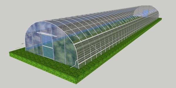 Anti Wind Agriculture Plastic Film Greenhouse Single Span / Multi Span Tunnel