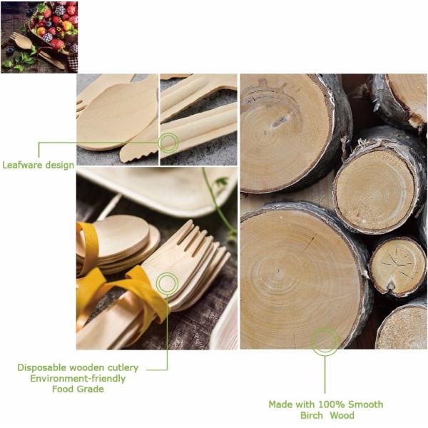 BSCI Wooden Disposable Biodegradable Cutlery Sustainable Degradable