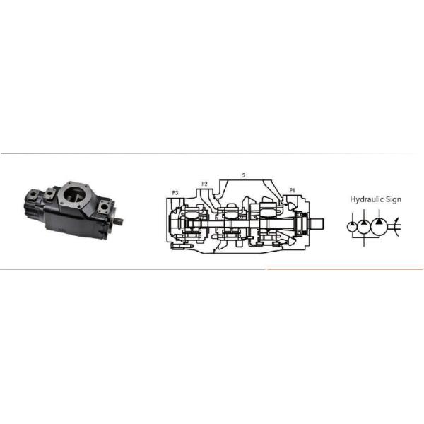 Triple Cartridges Black Hydraulic Cylinder Pump For Plastic Machinery