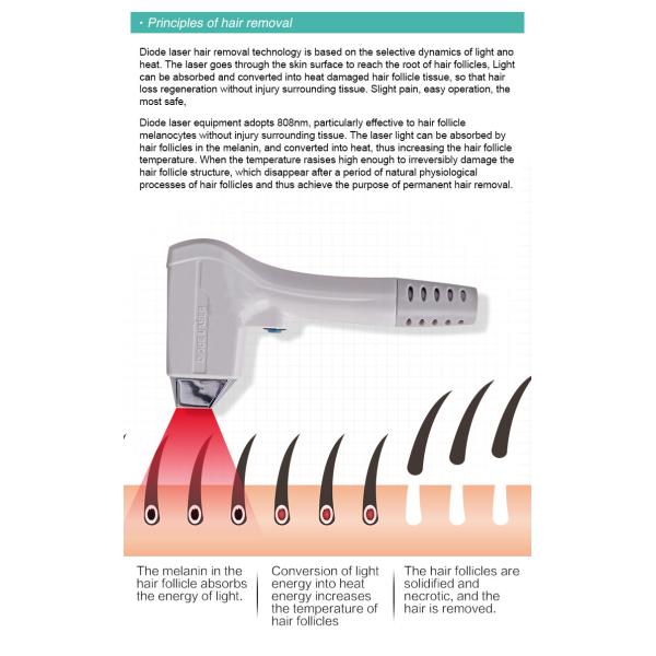 755nm 808nm 1064nm Diode Laser Hair Removal Machine 10HZ