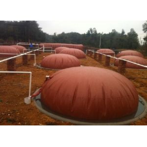 Household Biogas Digester Tank Clean Energy Saving Biogas Reactor