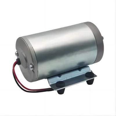 DC 36V Electric Water Pump Motor 40-90W Copper Water Pump Motor Electric