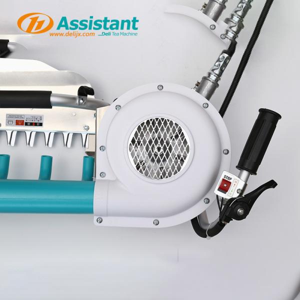 Tea Plucking DL-4Cd-60 Tea Harvester with 36V 20AH Lithium Battery and Electric Drive