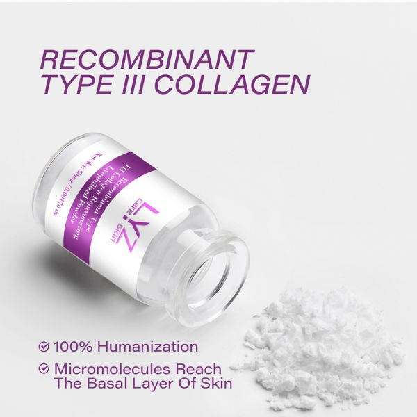 LYZ Factory Wholesale Anti-Aging Serum Recombinant Collagen Type III Repair for Essence for Home Spa Day Night Whitening Liquid