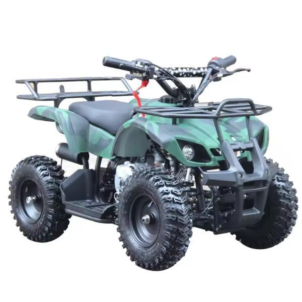 Kids Ce Certification Mini Four Wheel 49cc Quad Atv with Unequipped Differential Lock