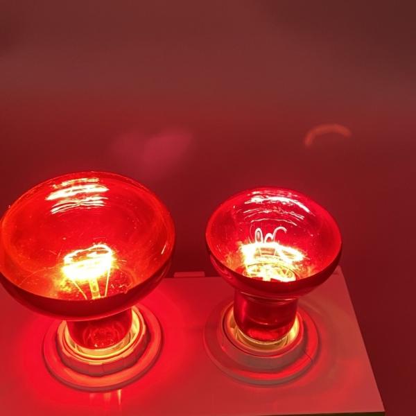 E27 50 Watt Reptile Bulb 75W 100W 150W Heat Lamp For Bearded Dragon