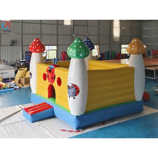 Commercial Inflatable Bouncer Castle Insect Inflatable Bounce House For Fun