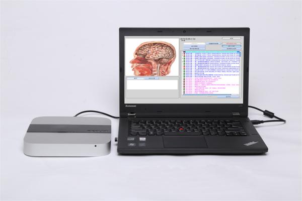Sub Health Therapy 9D NLS Health Analyzer Detectable Systemic 12 Big System