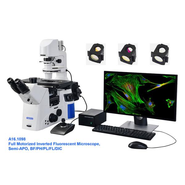 OPTO-EDU A16.1098 lleno motorizó el FB/el pH/el PL/FL/DIC optos de Edu Microscope Semi APO