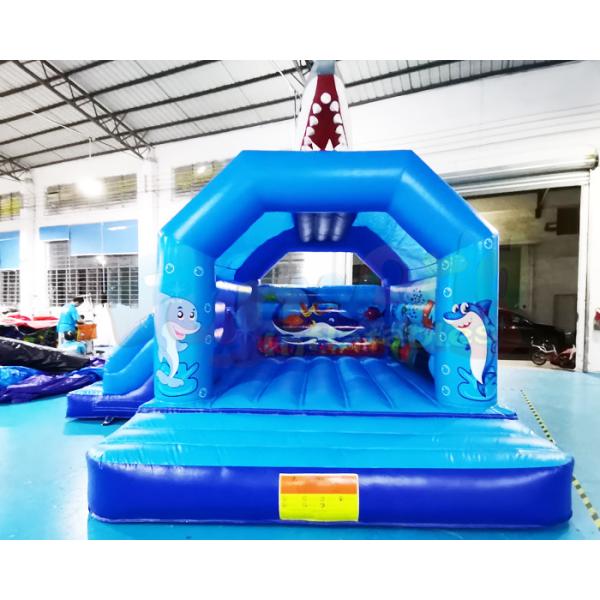 Дом прыжка надувного замка крупного плана ODM раздувной комбинированный