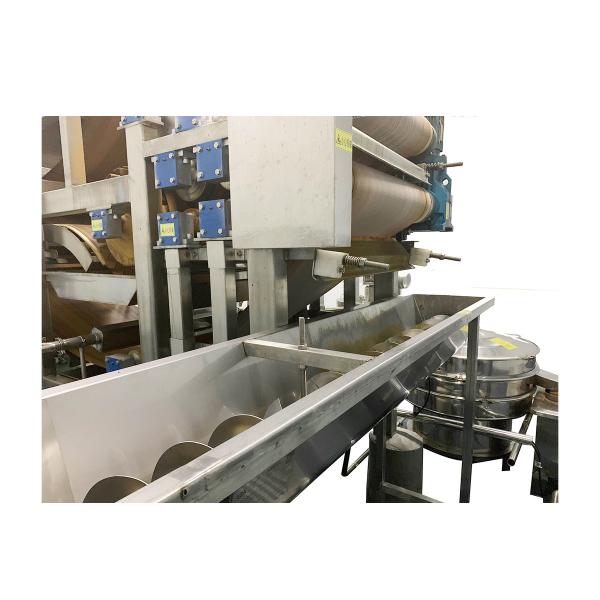 Linha de processamento automática 50 toneladas da pasta de tomate/hora
