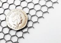 La feuille hexagonale de trou a perforé le métal Mesh Stainless Steel