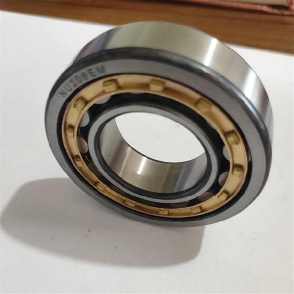 15*35*11mm High quality Cylindrical Roller Bearing N202E Cylindrical Roller Bearing