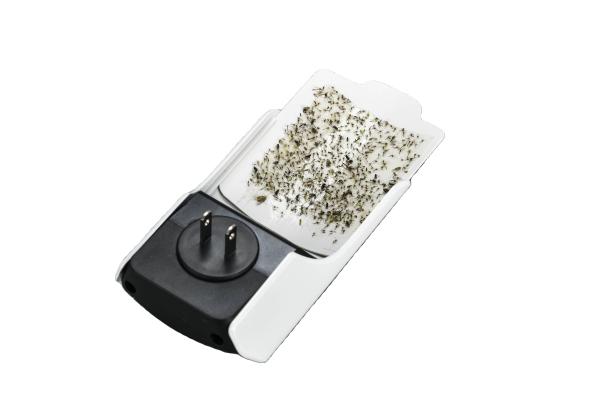 indoor Sticky trap mosquito lamp, insect trap, moth trap indoor anti mosquito pest control