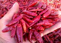 Le piment rouge sec par totalité acaule poivre 20000 SHU Single Herbs