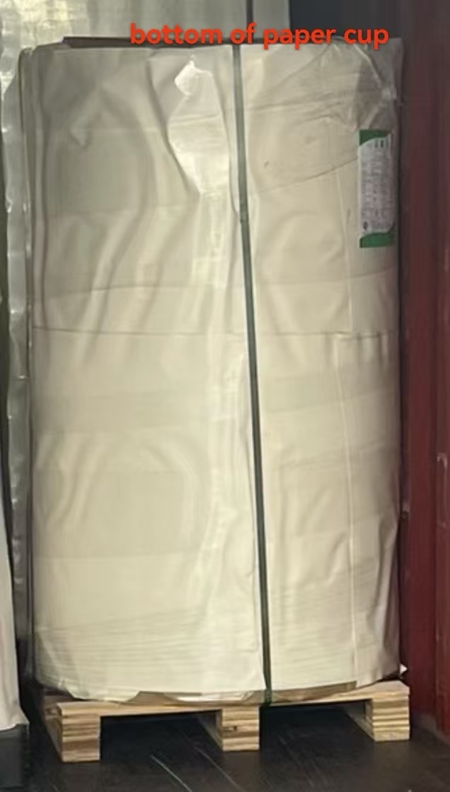 jiangsu Jili Paper Products Co., Ltd.