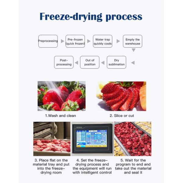 Multi-Function Lab Commercial Vegetable Snack 60KG Vacuum Freeze Dryer Lyophilizer Machine