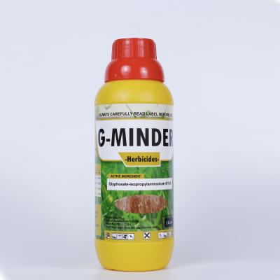 Homogeneous liquid broad spectrum herbicide weed killer for grass