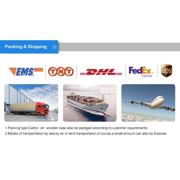 Staff Ergonomic Swivel Office Chair With Adjustable Lumbar Cushion