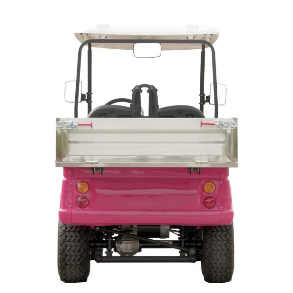 Electric Golf Car Buggy Housekeeping Car with Aluminum Cargo Box