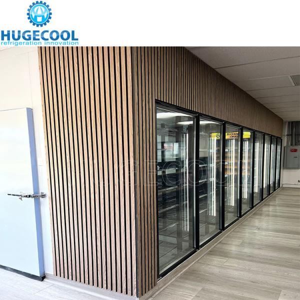 Display Walk In Cooler/ Freezer com porta de vidro e prateleira