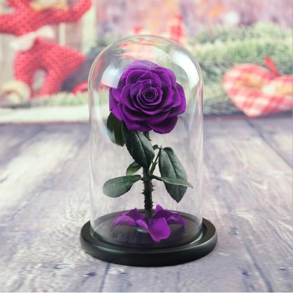 Preserved Fresh Flower Live Enchanted Rose in Glass Dome Cover with Gift Box Forever Real Rose Everlasting Flower