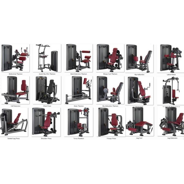 Comprehensive Trainer Fitness Smith Machine Squat Rack Gym Row Machine