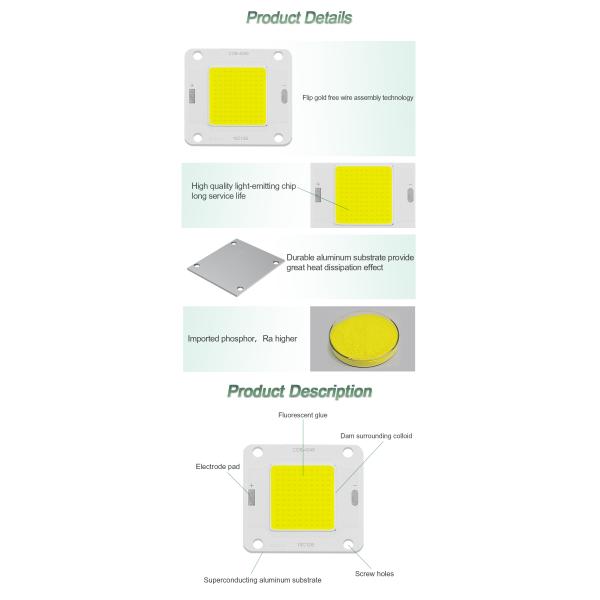 6000k DC COB LED Module High Luminance 20W 6000k Full Spectrum