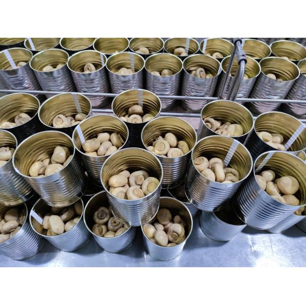 400g / 425g законсервировало всем грибы законсервированные грибом китайские