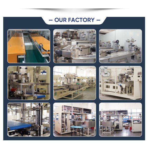 Small Robotic Vertical Packing Cartoning Machine BMZX660E