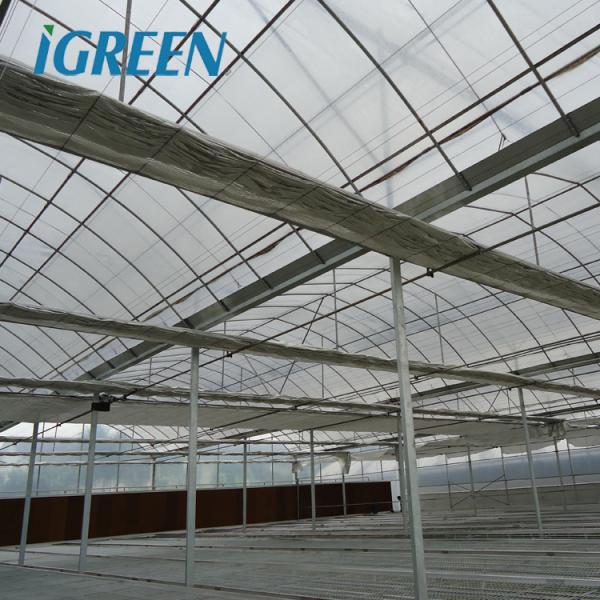 Зелёные сельскохозяйственные теплицы Большая панда пленка теплица подходит для всех климатических условий