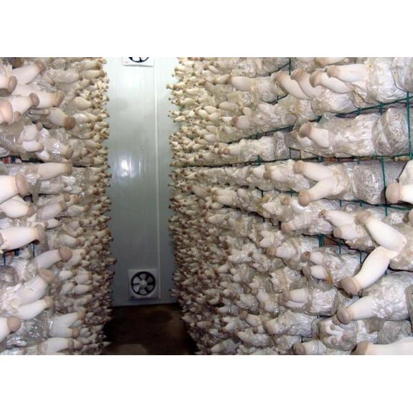 Equipement de réfrigération de chambre de congélation pour les fruits et légumes