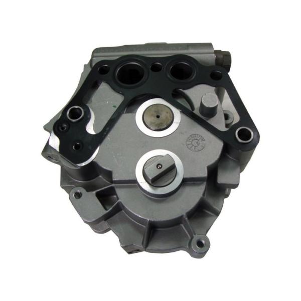 ETPS Gear Fuel Pump 504083124 504334322 IVECOTRUCK 5801851153 PEUGEOT