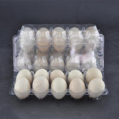 10 Cavities Clear Plastic Egg Cartons PET Disposable Egg Plastic Box Clear