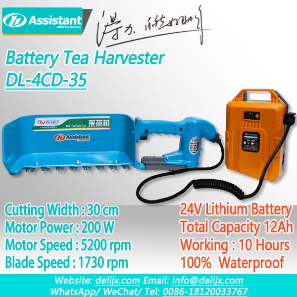300mm Working Width Dl-4Cd-35 Portable Electric Tea Leaf Picking Machine for Tea Harvester