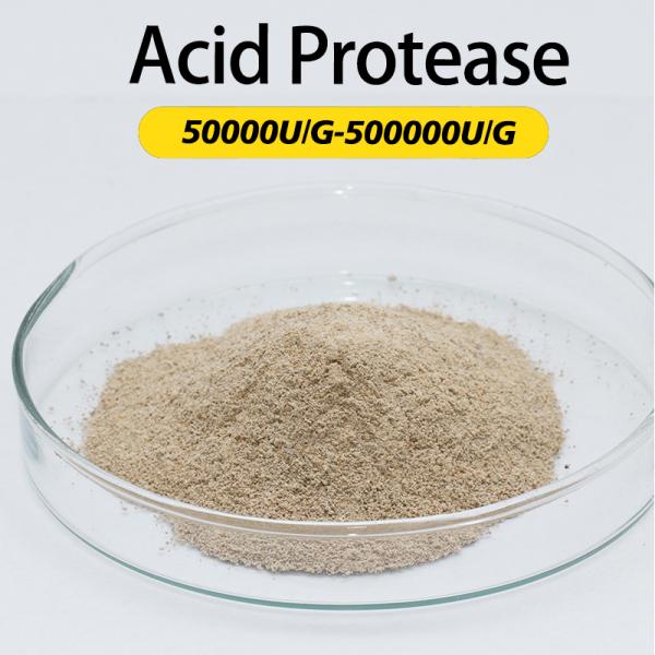 50000U/G-200000U/G Protéase acide pour la fermentation alimentaire Raccourcissement du cycle de fermentation