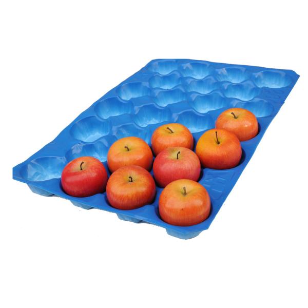 Persimmon Tray,Square Holes,popular in Israel, South Africa