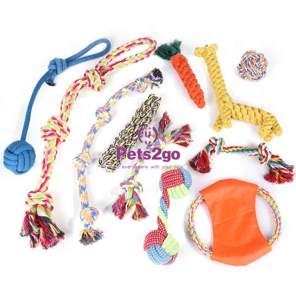 Зубы собаки очищают игрушку укуса многофункционального любимца 12x4cm молярную