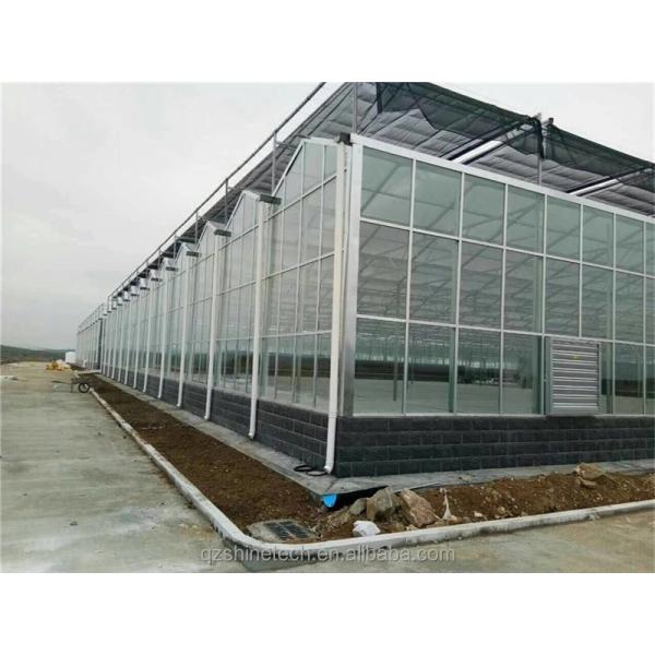 Super Strong Resistance Venlo Glass Greenhouse for Commercial Agricultural Turnkey Project