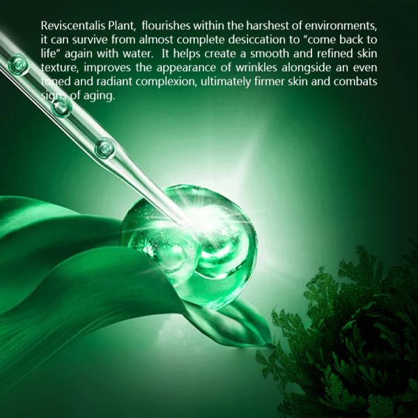 Customized Chamomile Ampule Freeze-Dried Lyophilized Powder Reviscentalis Microneedling Anti-Aging Whitening Face Liquid