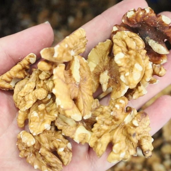 Automated Walnut-Kernel Separating System High Frequency Solenoid Valve Industrial Vision Nut Precision Inspection Equipment