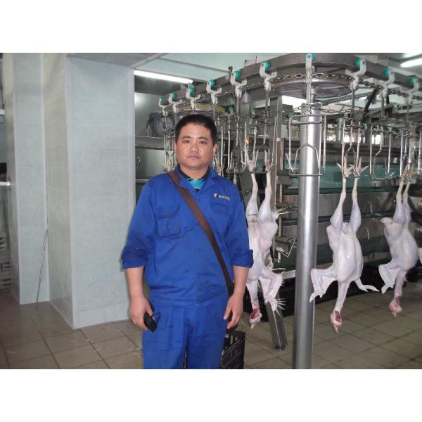 Машины для убоя птицы с установкой на месте или онлайн и из нержавеющей стали 304