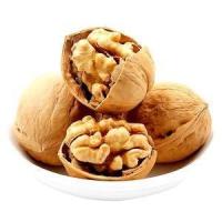 Vente en gros de noix de mer chinoise xinjiang dans la coquille avec noix de noix de haute qualité noyau ODM OEM
