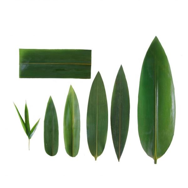 Fresh Bamboo Leaves 24 Month Shelf Life Guaranteed