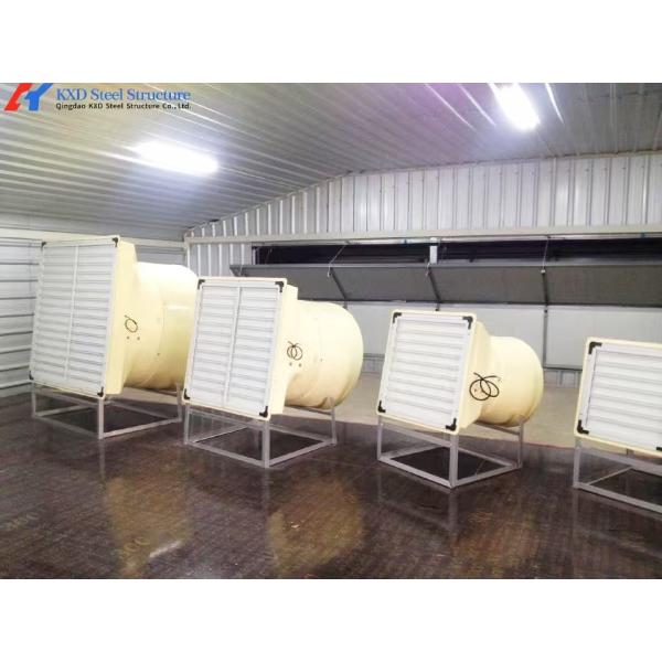 Fully Automatic Animal Feeders Plastic Chicken Feeders And Drinkers