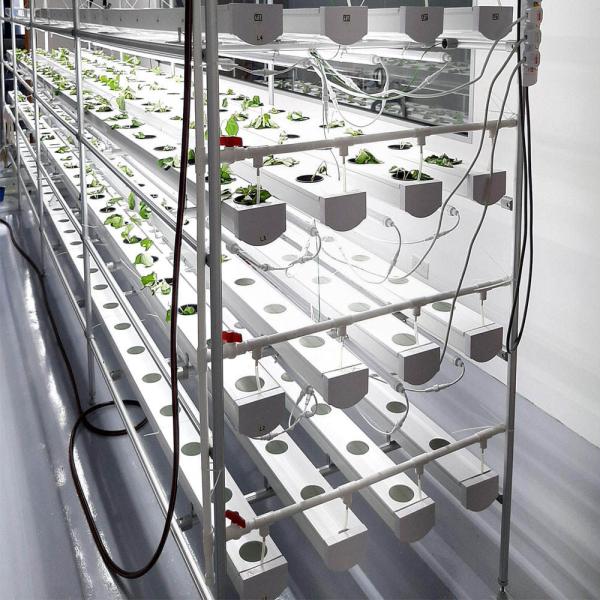 Greenhouse Farming Soilless Hydroponic NFT PVC Pipe Tube Growing System