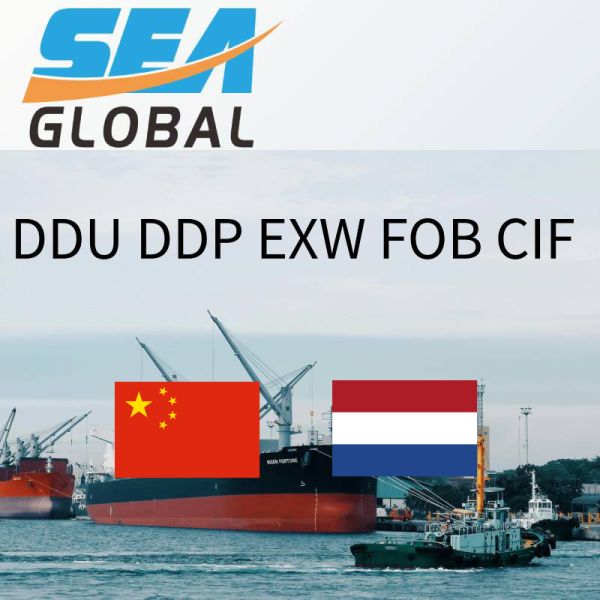 Trusted FCL shipping from China to Netherlands Amsterdam port with experienced logistics management
