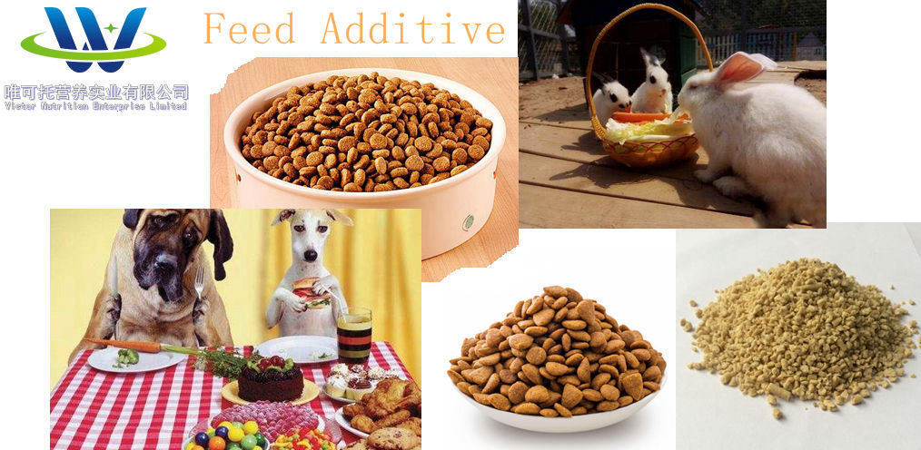 L-Lysine Hydrochloride CAS No. 657-27-2 Feed Grade for Livestock Nutrition Supplement